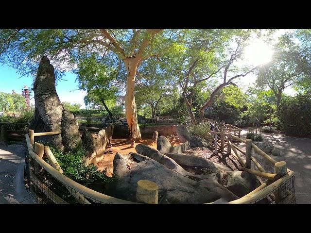 Busch Gardens Tampa - Full 360/VR Walkthrough