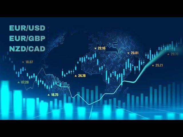 ForexDaily:EUR/USD EUR/GBP & NZD/CAD trading chart  AnAlysis