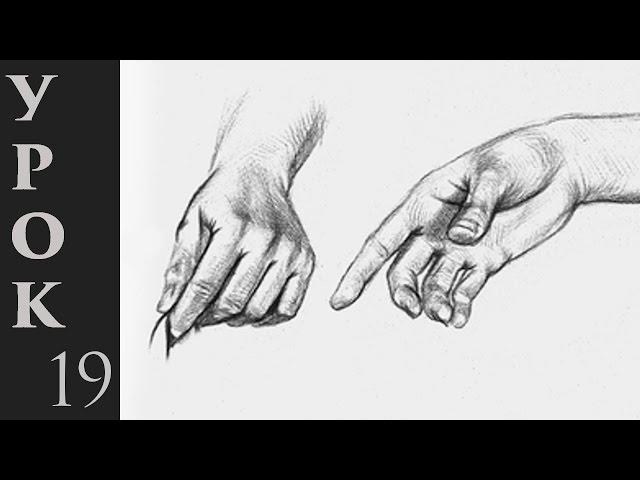 Как рисовать руки человека.