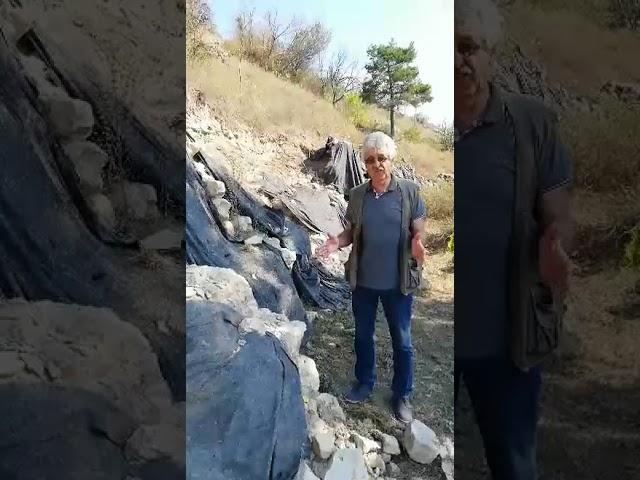 Dr Predrag Pejić (drugi deo) - Ranohrišćanska bazilika na Sarlahu, Pirot