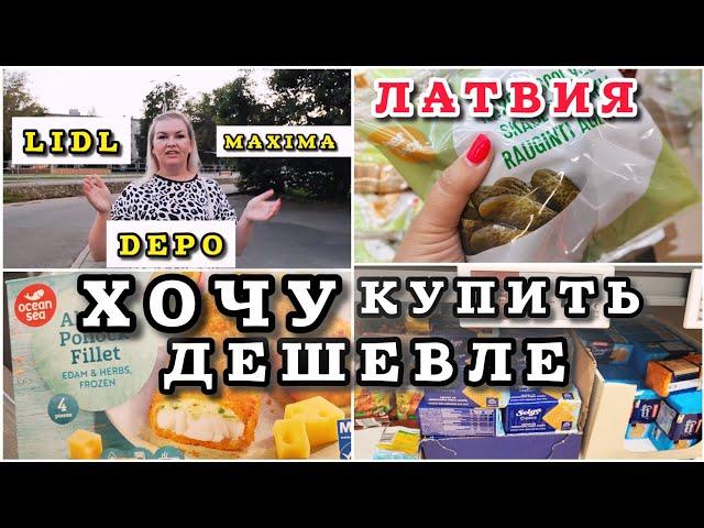 Сравниваем Цены в 3 магазинах Где дешевле? Просьба к Зрителям Мой спорт #рекомендации #latvia #цены