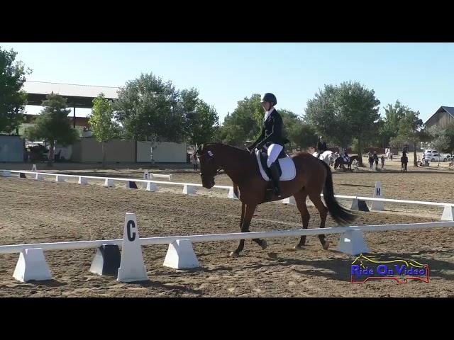 093D Lauren Field on Abright Star Open Modified Dressage Twin Rivers Ranch June 2024