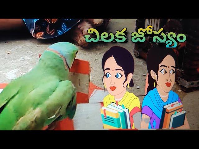 చిలక జ్యోతిష్యం.... నీతి kathalu moral stories # storytelling # ongole padmavathi telugu stories