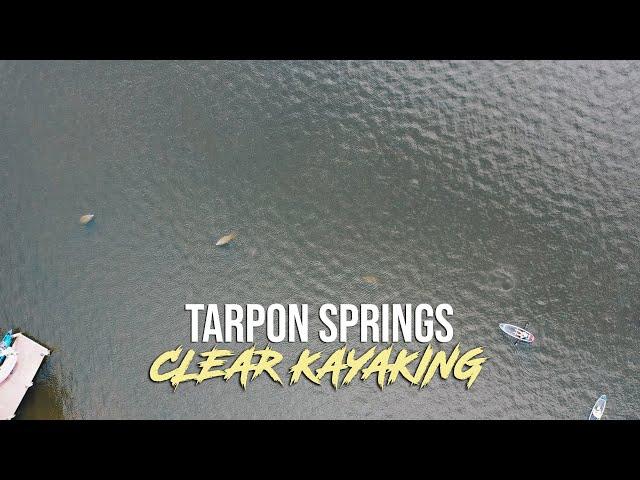 Clear Kayak Tours in Tarpon Springs - Get Up And Go Kayaking Tampa Bay