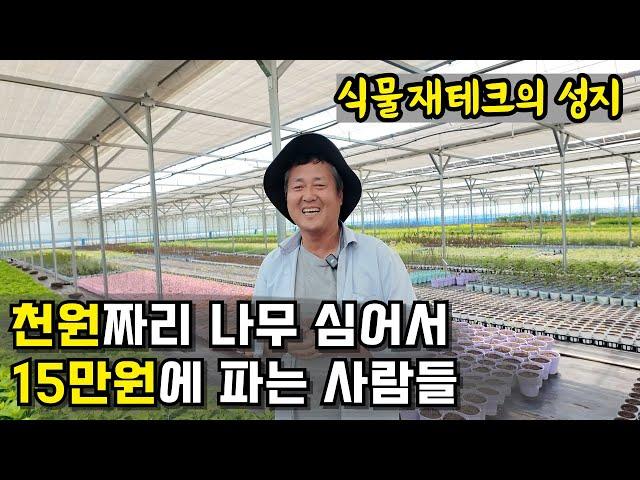 신용불량자에서 포트 묘목으로 대박난 식물원 대표 | 세종식물원