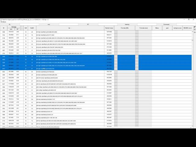 Ion Identity Networking - Minimum workflow vs. the full