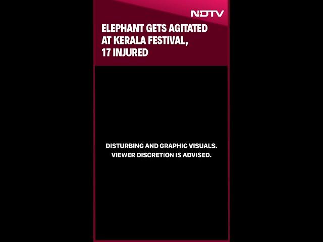 Kerala News | Elephant Ragdolls Man At Kerala Festival In Horrifying Video