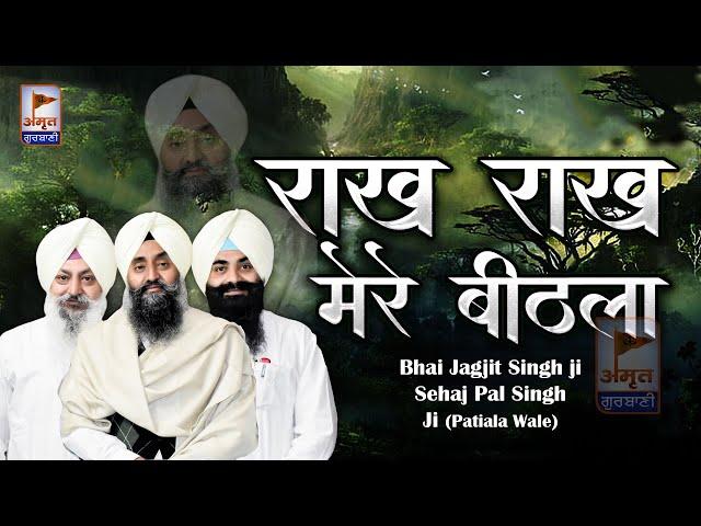 RAAKH RAAKH MERE BEETHLA + (KATHA VICHAR)  Bhai Jagjit Singh Bhai Sehajpal Singh Ji (Patiala Wale)