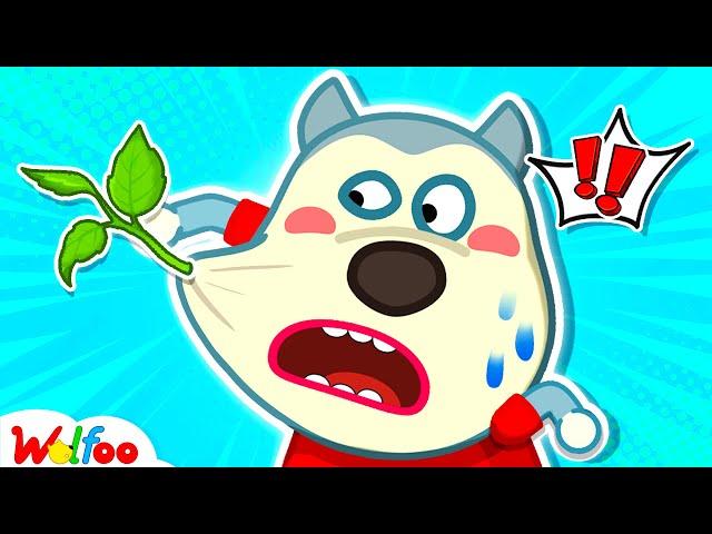 Oh No! A Tree Is Growing On My Face! Wolfoo Educational Videos For Kids | Wolfoo Canada