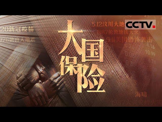 《大国保险》行到无水处 坐看风云起 一起见证保险大国的崛起之路【CCTV纪录】