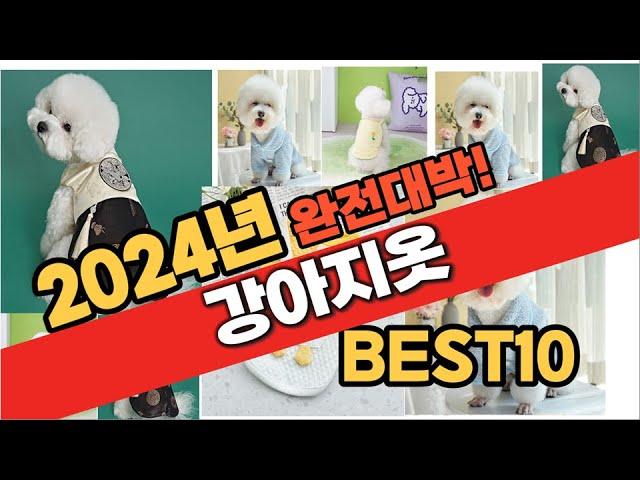 2024년 9월 가성비 강아지옷 추천 Best10 중에 고르면 끝!