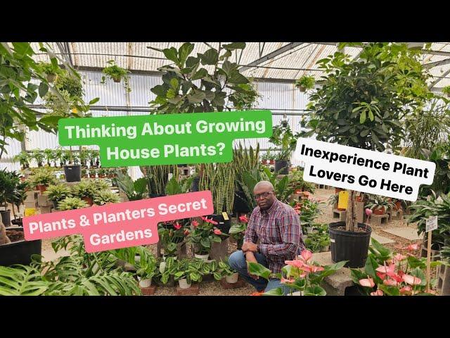 Inexperienced Plant Lovers Need to Go to Plants and Planters by Secret Gardens in Richardson