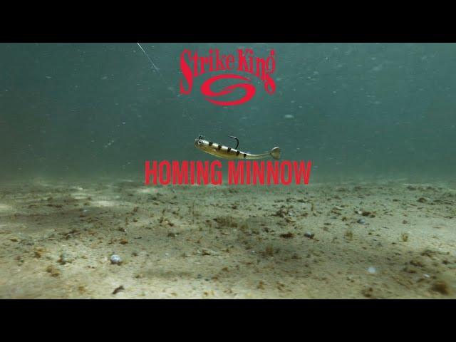 Strike King Homing Minnow [ICAST 2024]