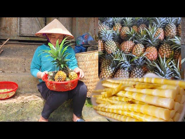 single mother - picking wild pineapples and bamboo shoots for food