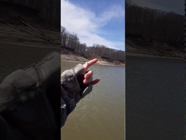 salamonie fishing