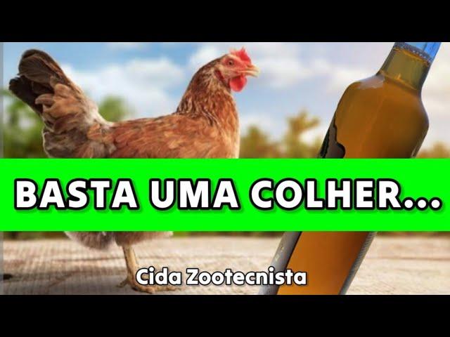 BASTA UMA COLHER PRÁ ACABAR COM AS DOENÇAS NO GALINHEIRO