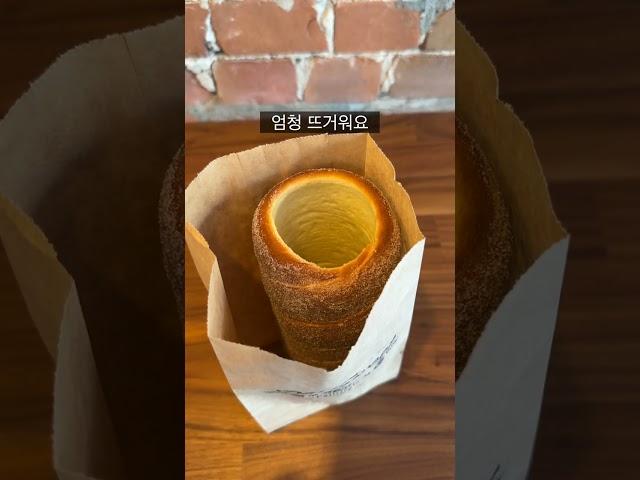 평점 4.9 빵집