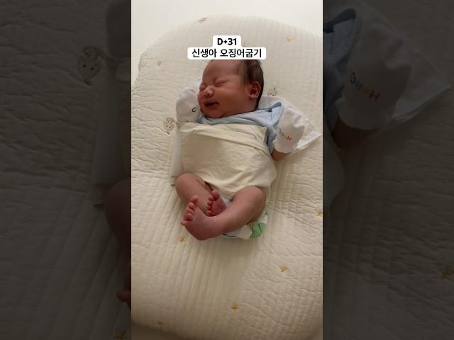 신생아 오징어굽기ㅎㅎㅎ #아기 #baby #cute #신생아 #newborn #육아 #1개월아기