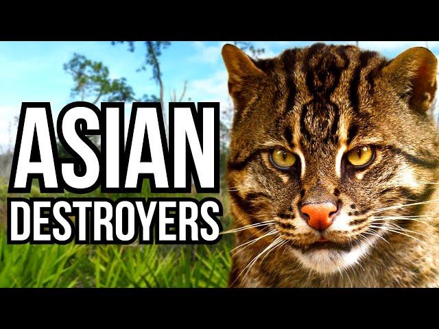 3 Asian Animals That Could Take Over North American Ecosystems