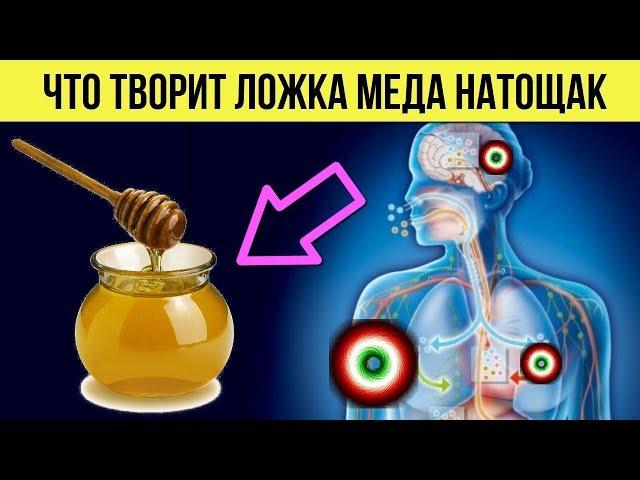 Что сделает Ложка Меда Натощак с Вашим организмом Если есть его Каждый день