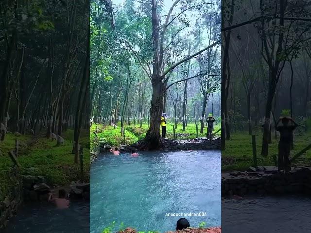 Kerala Monsoon vs summer