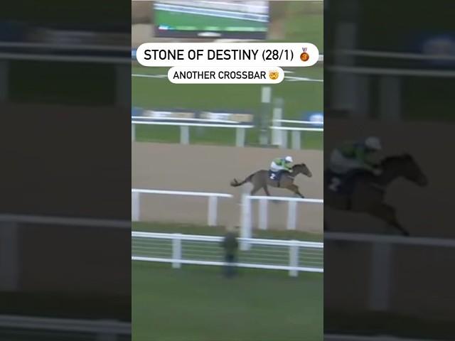 Near-Miss for Top Tipster Marc Hryhorskyj!