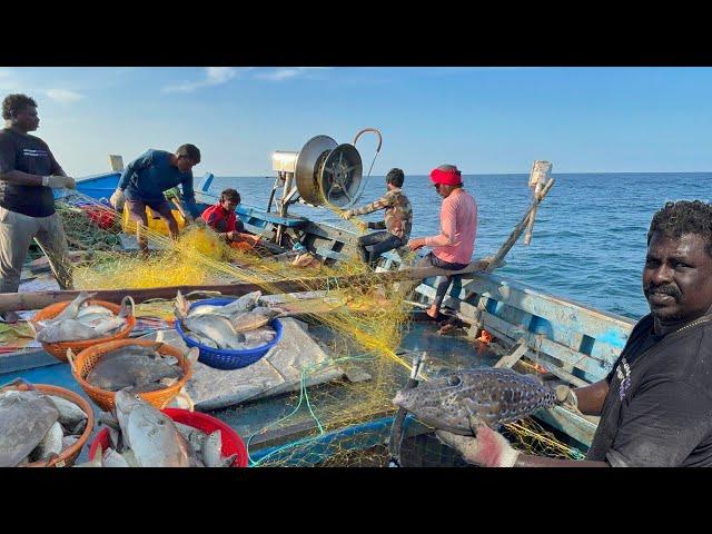 Amazing !!! We Caught Lot of Variety Fishes in Deep Sea Fishing