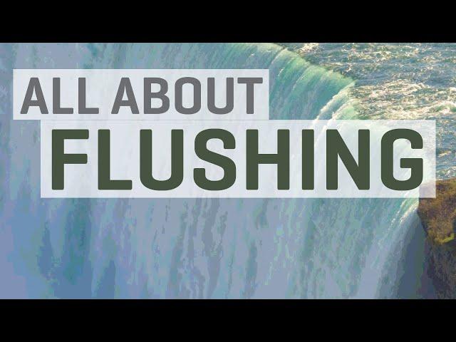 All About Flushing (Leaching) with Hydroponics