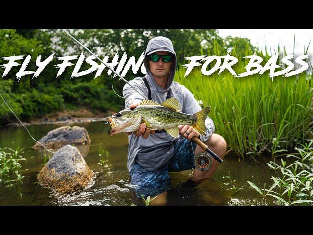 FLY FISHING for BASS in HIDDEN RIVER POOLS