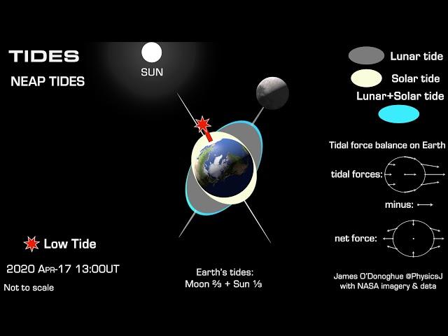 How lunar and solar tides work