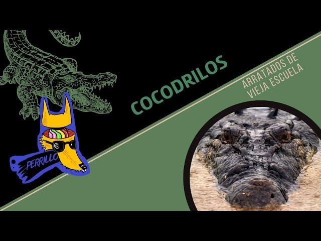 Cocodrilos: Maternidad Colmilluda | Ep 82| CULTURA COLMILLUDA