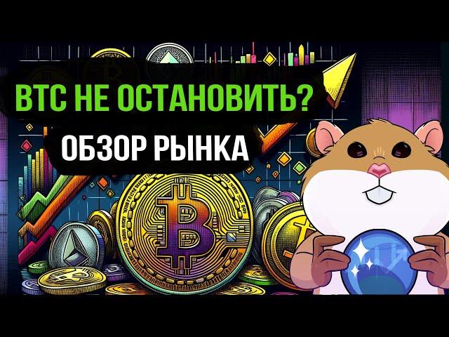 Какие альткоины купить сейчас? Когда фиксировать Bitcoin?
