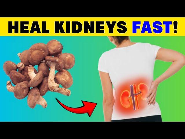 MUST EAT! Top 6 Best Foods to Improve kidney Function