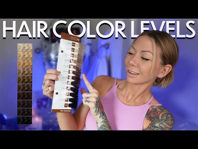 hair color levels & tones explained | 2024