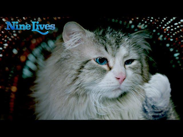 Nine Lives - Commercial 7 [HD]