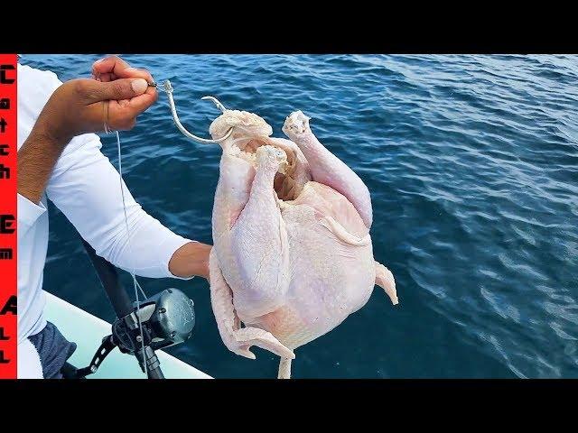 FISHING with a CHICKEN!