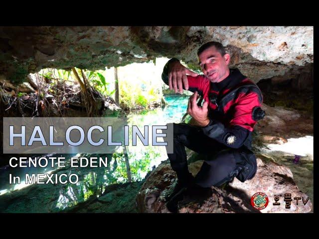 [CAVE DIVING] CENOTE EDEN HALOCLINE and CAVE DIVING MENTAL