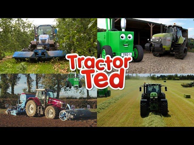 Big Machines Compilation  | Tractor Ted Big Machines | Tractor Ted Official Channel