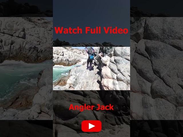 Angler Climbing Cliff with 40Kg Giant Trevelly #anglerjack #short #omanfishing