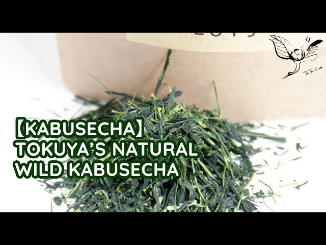 Tokuya’s Natural Wild Kabusecha - Tea introduction