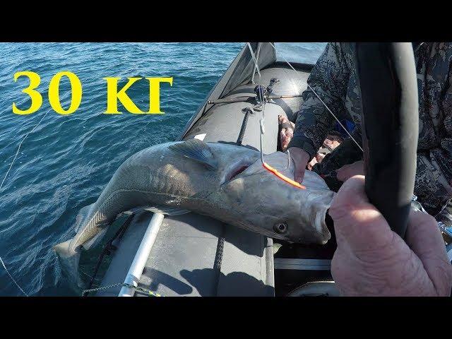 Баренцево море / Трофейная рыбалка / Barents sea / Trophy fishing