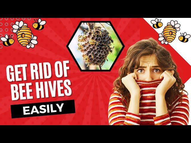 How To Get Rid Of Bee Hives At Home??Easy Steps to Remove Bee Hives Safely