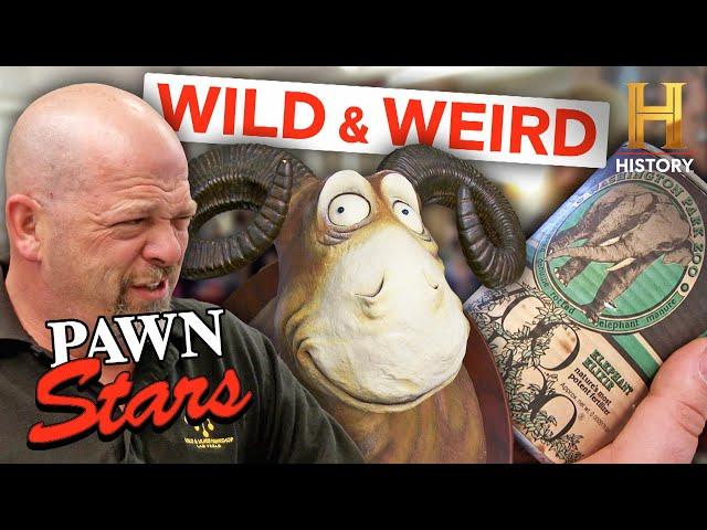 Pawn Stars: WILD Animal Items Value Will Shock You