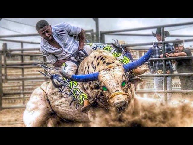 10 Most Dangerous Bulls of Rodeo History