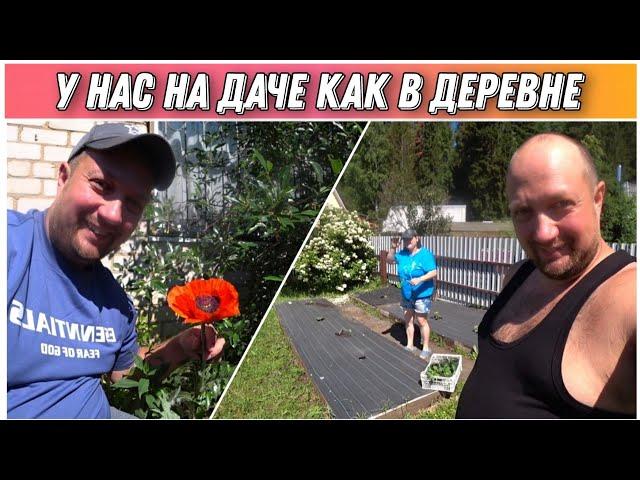 ВЛОГ! Что нового у нас на даче?!/На даче как в деревне/Посадили огурцы о кабачки!/Семейный канал!