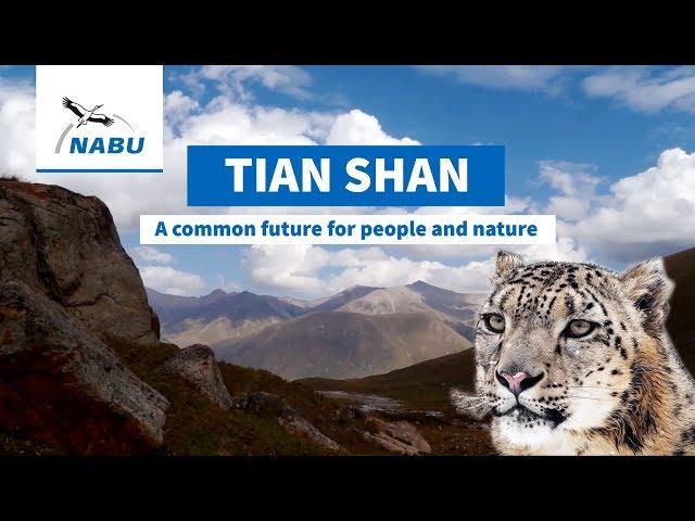 Tian Shan mountains - Future for snow leopards and people