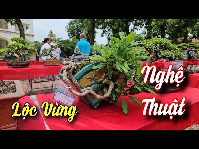 SH.9225. Cây Lộc Vừng rất nghệ thuật tại Hội SVC Kim Quan Thạch Thất Hà Nội.