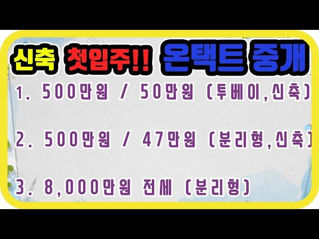 21.02.19 궁동에 이런 원룸은 없었다!! 꿈에그린던 그집!