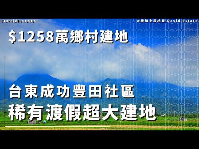 台東成功豐田社區-稀有渡假超大建地｜售價1258萬｜台東縣成功鎮｜豐田部落｜度假建地｜台東觀光景點｜David Estate