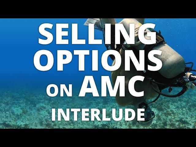 Selling Options on AMC - Interlude - Elliott Wave